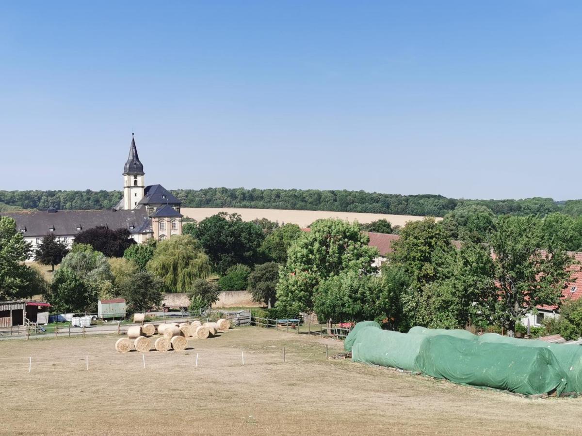 Ferienwohnung Alpakahof Goslar Kültér fotó